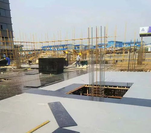 綠色建材助力青島發展 政府多重政策利好五金交電行業